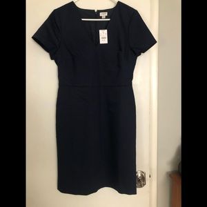 NWT J CREW DRESS size 10